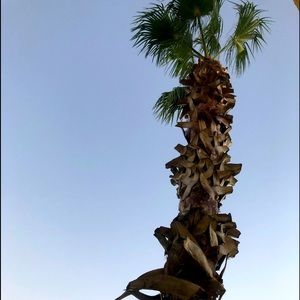 Meet your Posher, Kalden